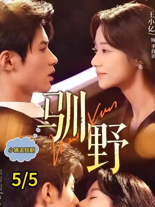 辣妹子影院经典犯罪剧长夜将尽海报